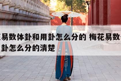 梅花易数体卦和用卦怎么分的 梅花易数体卦和用卦怎么分的清楚
