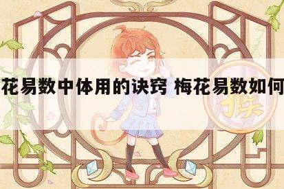 论梅花易数中体用的诀窍 梅花易数如何确定体用