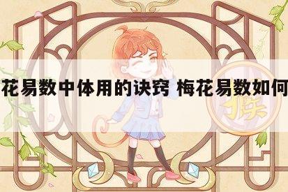 论梅花易数中体用的诀窍 梅花易数如何确定体用