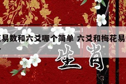 梅花易数和六爻哪个简单 六爻和梅花易数学哪个