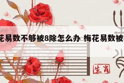 梅花易数不够被8除怎么办 梅花易数被8整除