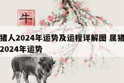 属猪人2024年运势及运程详解图 属猪的人2024年运势
