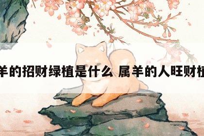 属羊的招财绿植是什么 属羊的人旺财植物
