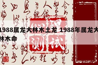 1988属龙大林木土龙 1988年属龙大林木命