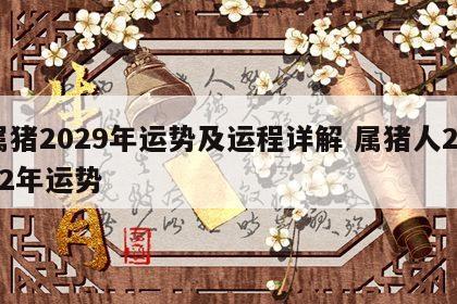 属猪2029年运势及运程详解 属猪人2o22年运势