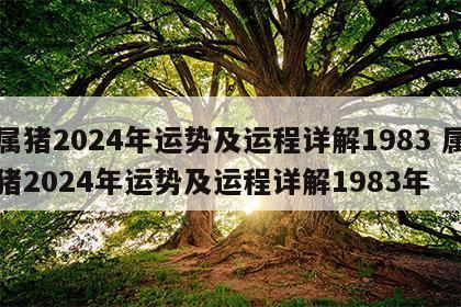 属猪2024年运势及运程详解1983 属猪2024年运势及运程详解1983年