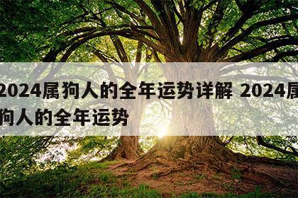 2024属狗人的全年运势详解 2024属狗人的全年运势