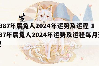 1987年属兔人2024年运势及运程 1987年属兔人2024年运势及运程每月运程