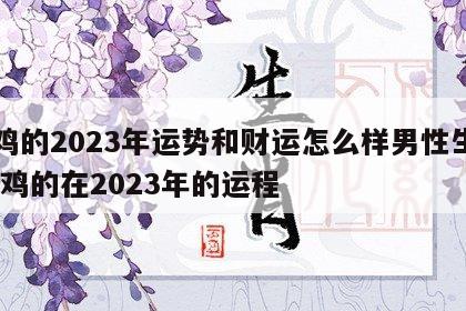 属鸡的2023年运势和财运怎么样男性生肖 属鸡的在2023年的运程