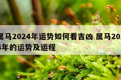 属马2024年运势如何看吉凶 属马2024年的运势及运程