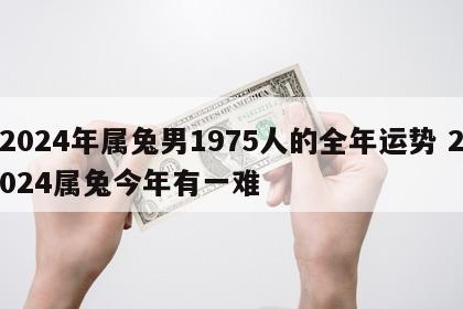 2024年属兔男1975人的全年运势 2024属兔今年有一难