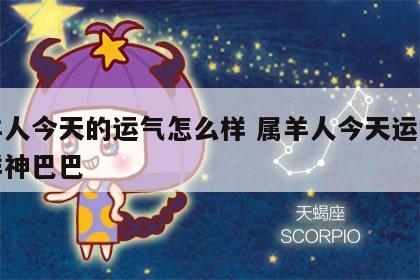 属羊人今天的运气怎么样 属羊人今天运气怎么样神巴巴
