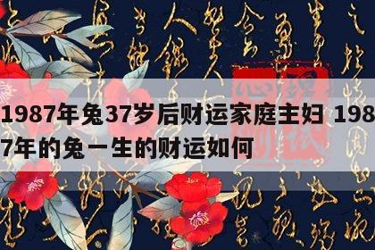 1987年兔37岁后财运家庭主妇 1987年的兔一生的财运如何