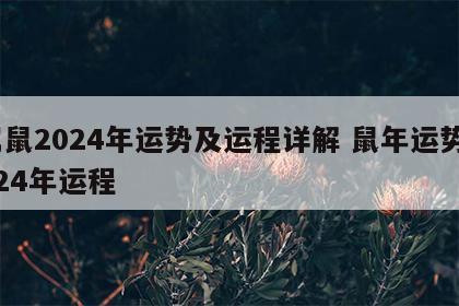属鼠2024年运势及运程详解 鼠年运势2024年运程