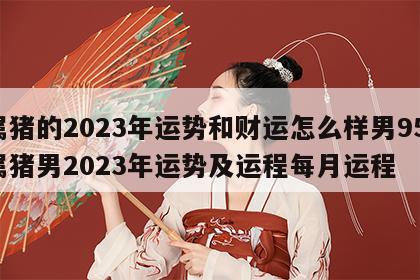 属猪的2023年运势和财运怎么样男95 属猪男2023年运势及运程每月运程