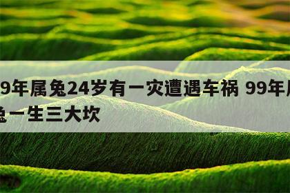 99年属兔24岁有一灾遭遇车祸 99年属兔一生三大坎