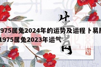 1975属兔2024年的运势及运程卜易居 1975属兔2023年运气