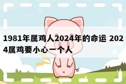 1981年属鸡人2024年的命运 2024属鸡要小心一个人