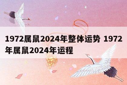 1972属鼠2024年整体运势 1972年属鼠2024年运程