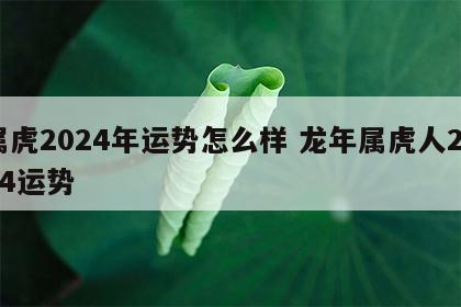 属虎2024年运势怎么样 龙年属虎人2024运势