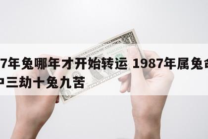 87年兔哪年才开始转运 1987年属兔命中三劫十兔九苦