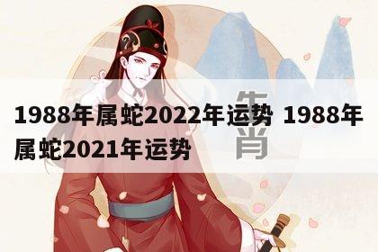 1988年属蛇2022年运势 1988年属蛇2021年运势