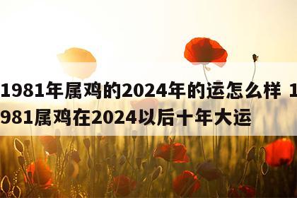 1981年属鸡的2024年的运怎么样 1981属鸡在2024以后十年大运