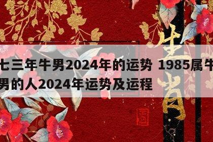 七三年牛男2024年的运势 1985属牛男的人2024年运势及运程