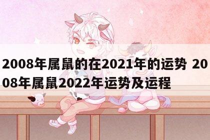 2008年属鼠的在2021年的运势 2008年属鼠2022年运势及运程