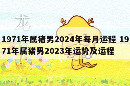 1971年属猪男2024年每月运程 1971年属猪男2023年运势及运程