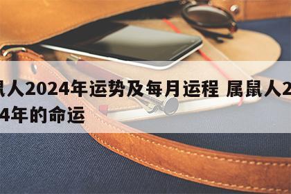 鼠人2024年运势及每月运程 属鼠人2024年的命运