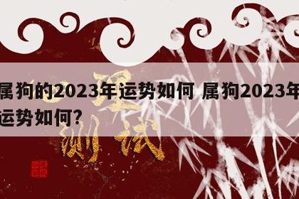 属狗的2023年运势如何 属狗2023年运势如何?