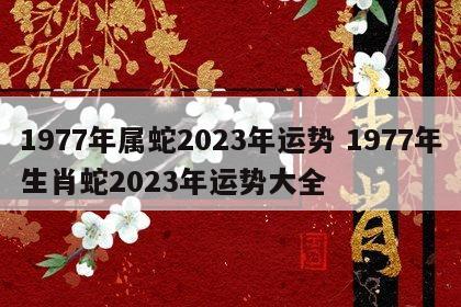 1977年属蛇2023年运势 1977年生肖蛇2023年运势大全