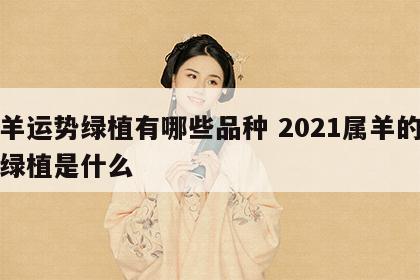 属羊运势绿植有哪些品种 2021属羊的幸运绿植是什么