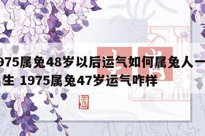 1975属兔48岁以后运气如何属兔人一月出生 1975属兔47岁运气咋样