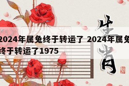 2024年属兔终于转运了 2024年属兔终于转运了1975