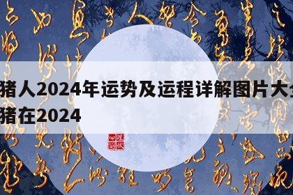 属猪人2024年运势及运程详解图片大全 属猪在2024