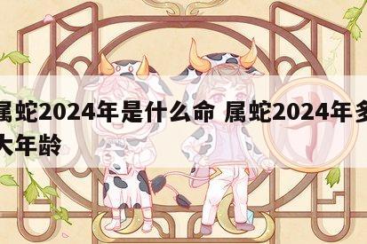 属蛇2024年是什么命 属蛇2024年多大年龄