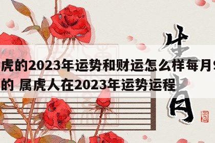 属虎的2023年运势和财运怎么样每月98年的 属虎人在2023年运势运程