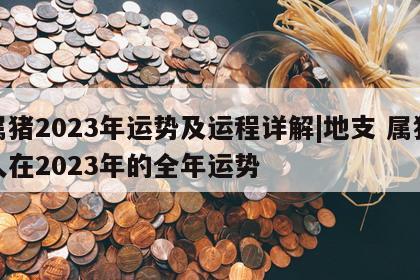 属猪2023年运势及运程详解|地支 属猪人在2023年的全年运势