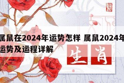 属鼠在2024年运势怎样 属鼠2024年运势及运程详解