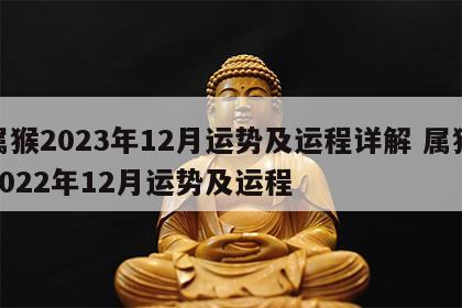 属猴2023年12月运势及运程详解 属猴2022年12月运势及运程