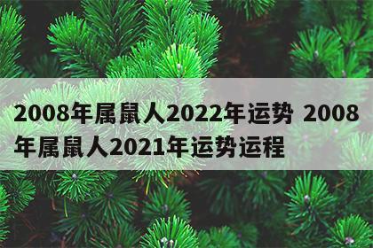 2008年属鼠人2022年运势 2008年属鼠人2021年运势运程