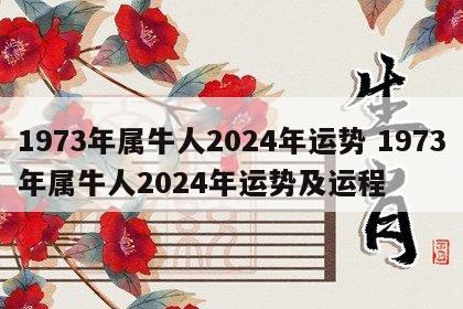 1973年属牛人2024年运势 1973年属牛人2024年运势及运程