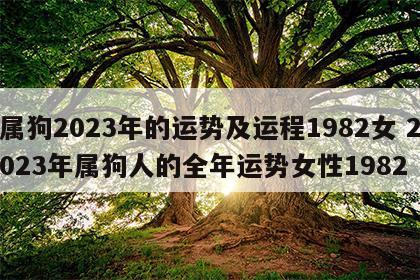 属狗2023年的运势及运程1982女 2023年属狗人的全年运势女性1982