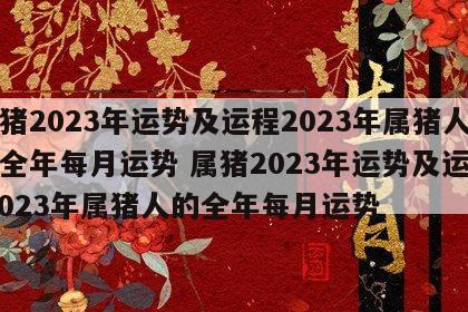 属猪2023年运势及运程2023年属猪人的全年每月运势 属猪2023年运势及运程 2023年属猪人的全年每月运势