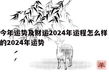 猪今年运势及财运2024年运程怎么样 属猪的2024年运势