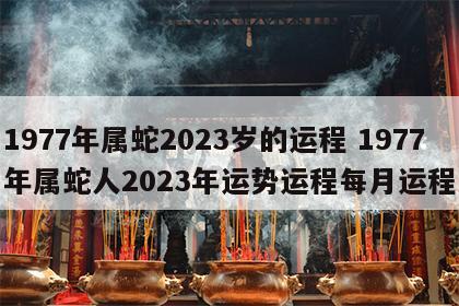 1977年属蛇2023岁的运程 1977年属蛇人2023年运势运程每月运程
