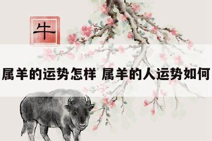 属羊的运势怎样 属羊的人运势如何