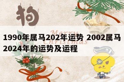 1990年属马202年运势 2002属马2024年的运势及运程